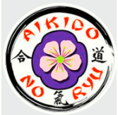 Logo AIKIDO NO RYU